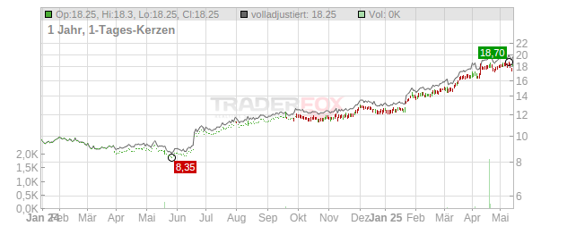 NIKKON Holdings Chart